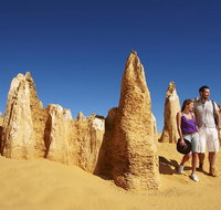 Pinnacles Day Trip from Perth Including Yanchep National Park - Accommodation Batemans Bay