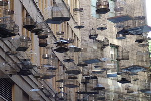 Sydney Scavenger Hunt: Inside Sydney