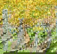 Margaret River Indulge and Discover Day Tour - Accommodation Batemans Bay