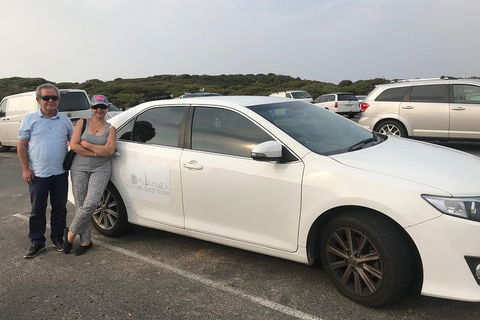 Full-Day Private Australian Wildlife Tour Of Phillip Island - Accommodation Batemans Bay 1