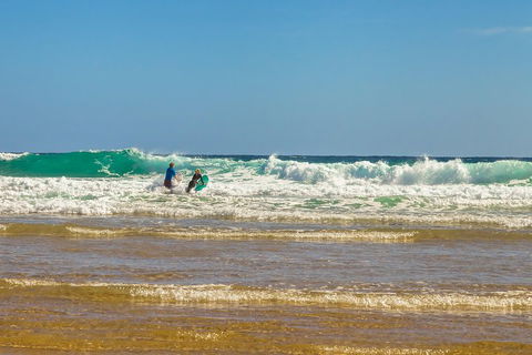 Full-Day Private Australian Wildlife Tour Of Phillip Island - Accommodation Batemans Bay 3