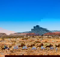 Alice Springs Camel Tour - Accommodation Batemans Bay