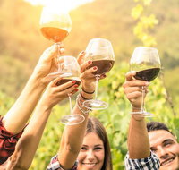 Adelaide Hills Day Tour. Winery Cellar Doors - Accommodation Batemans Bay