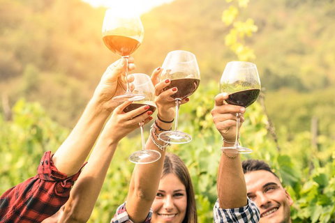 Adelaide Hills Day Tour. Winery Cellar Doors - Accommodation Batemans Bay 0