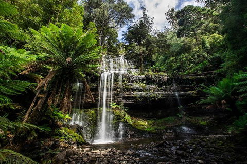 3-Day Tour To The Falls, Mountains, Lake & More Of West Coast Tasmania - Accommodation Batemans Bay 4