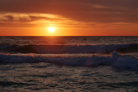 Australian Animals, Seascape And Sunset Photography Tour - Accommodation Batemans Bay 5