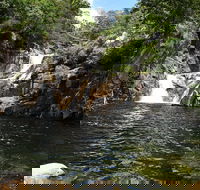 Behana Canyon Rainforest and Waterfall Experience - Accommodation Batemans Bay