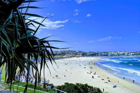 Sydney Secrets & Bondi Private 4 Hour Afternoon With 'Personalised Sydney Tours' - Accommodation Batemans Bay 0