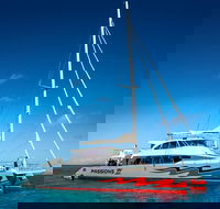Passions of Paradise Great Barrier Reef Snorkel and Dive Cruise from Cairns by Luxury Catamaran - Accommodation Batemans Bay