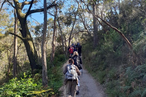 Mount Lofty Hike And Cleland Wildlife Park Day Trip From Adelaide - Accommodation Batemans Bay 3