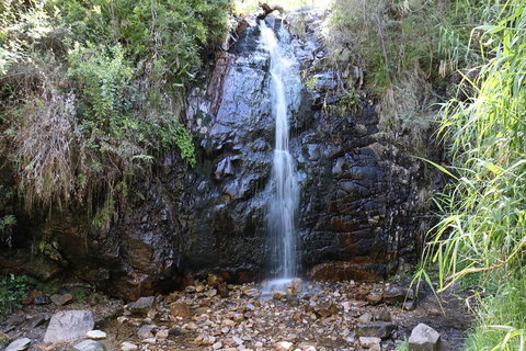Mount Lofty Hike And Cleland Wildlife Park Day Trip From Adelaide - Accommodation Batemans Bay 4