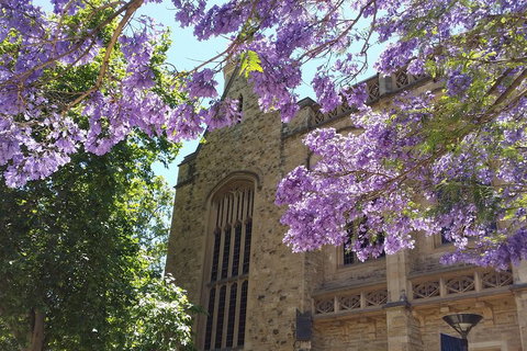 Cultural Caper Adelaide Walking Tour - Accommodation Batemans Bay 1