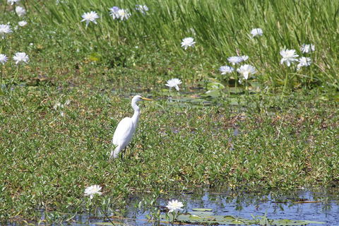 Darwin City Sights And Jumping Crocodile Cruise - Accommodation Batemans Bay 4
