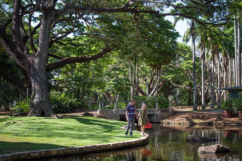 Darwin City Sights And Jumping Crocodile Cruise - Accommodation Batemans Bay 5