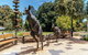 Highlights & Hidden Gems With Locals: Best Of Perth Private Tour - thumb 3