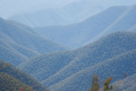 From The Mountains To The Bay - 4 Day Rediscovery Private Tour - Accommodation Batemans Bay 1