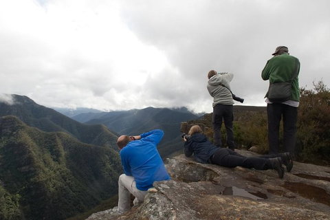 From The Mountains To The Bay - 4 Day Rediscovery Private Tour - Accommodation Batemans Bay 4