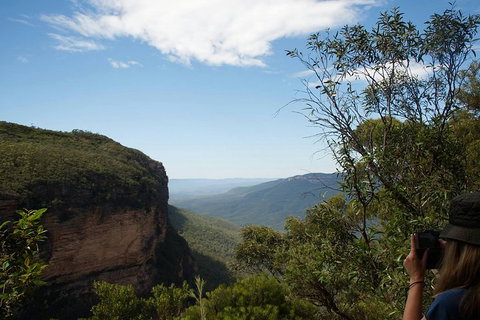 From The Mountains To The Bay - 4 Day Rediscovery Small Group Tour - Accommodation Batemans Bay 5