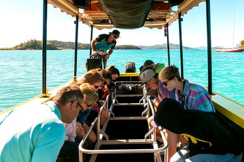 Airlie Beach Glass Bottom Boat Tour - Accommodation Batemans Bay 1