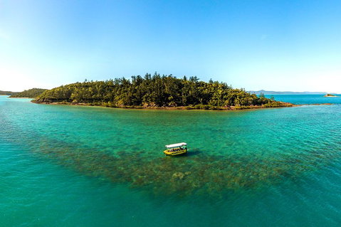 Airlie Beach Glass Bottom Boat Tour - Accommodation Batemans Bay 3