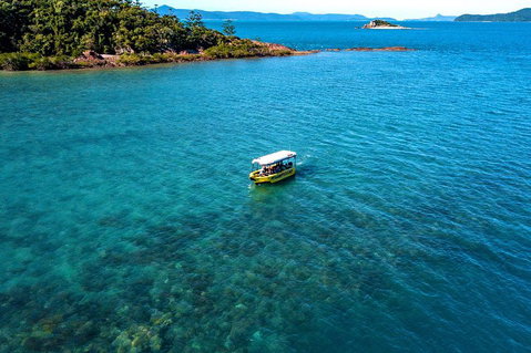 Airlie Beach Glass Bottom Boat Tour - Accommodation Batemans Bay 4