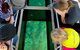 Airlie Beach Glass Bottom Boat Tour - thumb 5