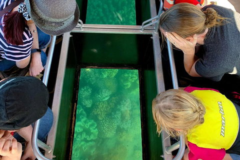 Airlie Beach Glass Bottom Boat Tour - Accommodation Batemans Bay 5