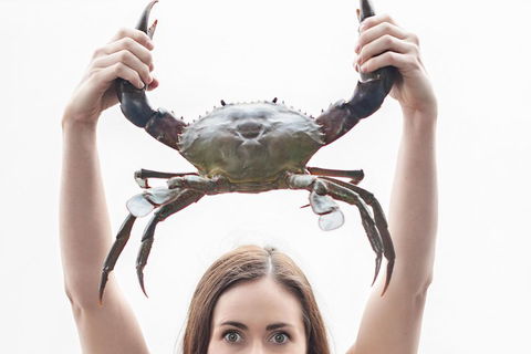 The Ultimate Gold Coast Attractions Pass - Accommodation Batemans Bay 0