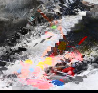 Barron Gorge National Park Half-Day White Water Rafting from Cairns or Port Douglas - Accommodation Batemans Bay