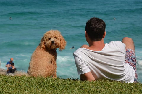 See Sydney With A Local: Private & Personalized - Accommodation Batemans Bay 5