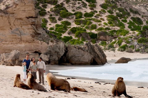 Kangaroo Island Scenic Trail Tour - Accommodation Batemans Bay 5