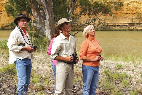 4-Night Murray River Cruise By Classic Paddle Wheeler PS Murray Princess - Accommodation Batemans Bay 2