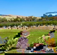 Private Picnic and Wine Tasting Experience in Barossa Valley - Accommodation Batemans Bay