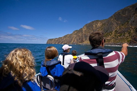 Seal Island Boat Tour From Victor Harbor - Accommodation Batemans Bay 0