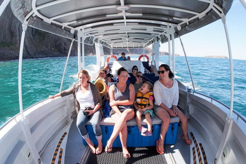 Seal Island Boat Tour From Victor Harbor - Accommodation Batemans Bay 1