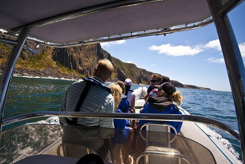 Seal Island Boat Tour From Victor Harbor - Accommodation Batemans Bay 2