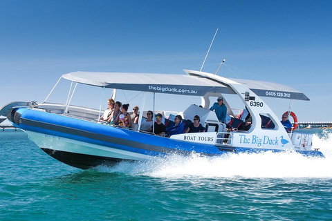 Seal Island Boat Tour From Victor Harbor - Accommodation Batemans Bay 3