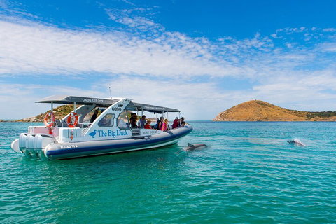 Southern Ocean Adventure From Victor Harbor - Accommodation Batemans Bay 1