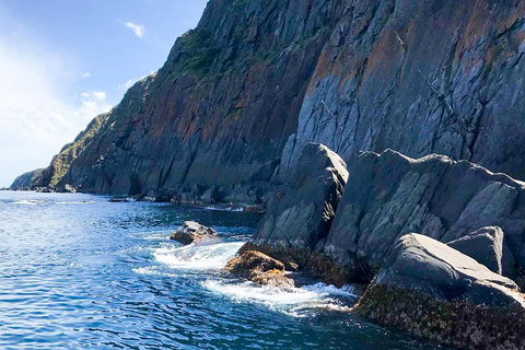 Southern Ocean Adventure From Victor Harbor - Accommodation Batemans Bay 3