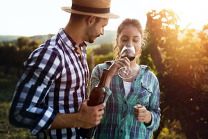 Luxury Hunter Valley Wildlife, Wine & Vodka Tasting Tour from Sydney