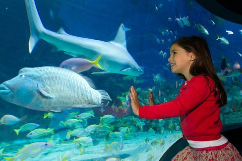 Melbourne BIG Ticket - LEGOLAND Discovery And SEA LIFE Melbourne - Accommodation Batemans Bay 1