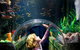 Melbourne BIG Ticket - LEGOLAND Discovery And SEA LIFE Melbourne - thumb 2