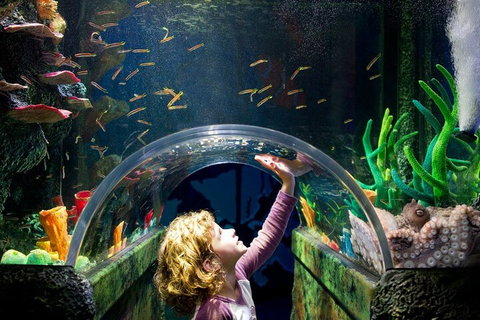 Melbourne BIG Ticket - LEGOLAND Discovery And SEA LIFE Melbourne - Accommodation Batemans Bay 2