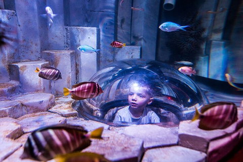 Melbourne BIG Ticket - LEGOLAND Discovery And SEA LIFE Melbourne - Accommodation Batemans Bay 5