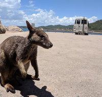 Magnetic Island Tour Maggie Comprehensive - Accommodation Batemans Bay