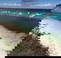 Experience Rottnest with Ferry  Bike Hire from Perth or Fremantle - Accommodation Batemans Bay