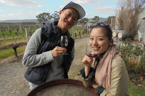 Swan Valley River Cruise And Wine Tasting Day Trip From Perth - Accommodation Batemans Bay 0