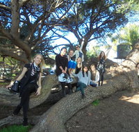 1/2 day Swan Valley Wine Cheese  Chocolate Tour Inc Afternoon Cruise to Perth - Accommodation Batemans Bay
