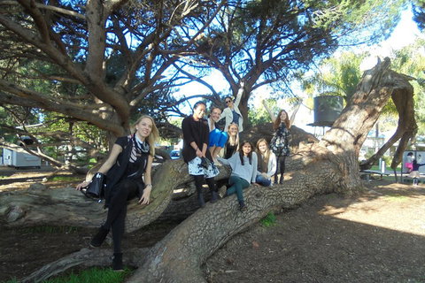 1/2 Day Swan Valley Wine Cheese & Chocolate Tour Inc Afternoon Cruise To Perth - Accommodation Batemans Bay 0