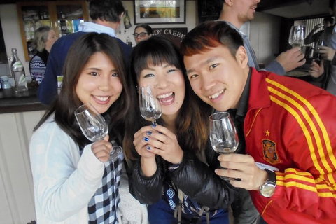Wine Tasting Day Trip And Swan Valley River Cruise To Perth - Accommodation Batemans Bay 3